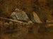 Montagnes Blanches, Écho Lake - Albert Bierstadt — näkymä teoksesta