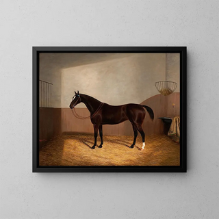 Albert Clark - Race Horse.webp
