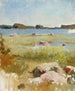 Epäonnistuneen saariston maisemasta - Albert Edelfelt — näkymä teoksesta