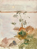 Bord de mer au clair de lune - Albert Edelfelt — näkymä teoksesta
