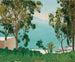 La plage vue à travers les eucalyptus - Albert Marquet — näkymä teoksesta