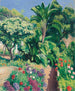 Le Jardin fleuri - Albert Marquet — näkymä teoksesta