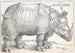 Le Rhinocéros - Albrecht Dürer — näkymä teoksesta