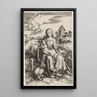 Albrecht Drer - Virgin and Child with the Monkey.webp