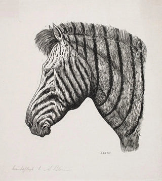 Alexander Blom - Hoved af en Zebra.webp