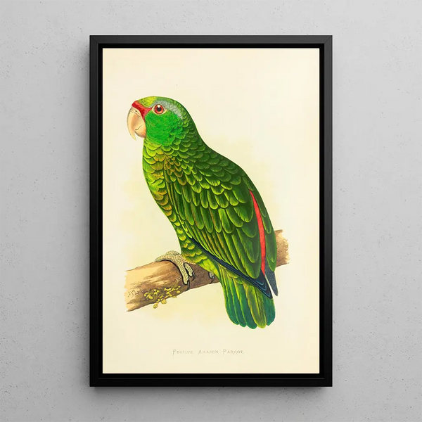 Alexander Francis Lydon - Festive Amazon Parrot.webp