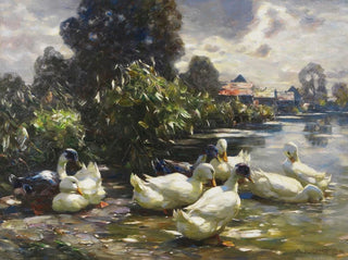 Huit canards au bord de l'eau - Alexander Koester — näkymä teoksesta