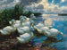Kanat järven rannalla - Alexander Koester — näkymä teoksesta
