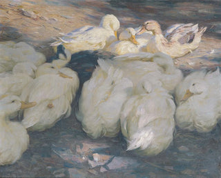 Alexander Koester - In der Abendsonne.webp