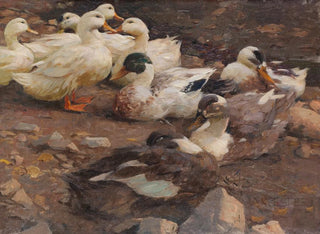 Uudet ankkaat lammen rannalla - Alexander Koester — näkymä teoksesta