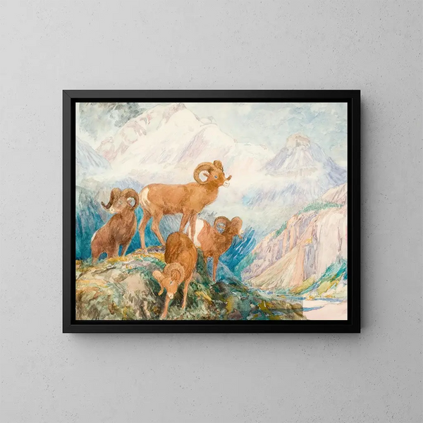Mouflon des Big Horn - Alexander Phimister Proctor — kehystetty taideteos seinällä