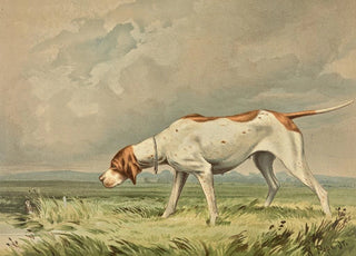 Alexander Pope Jr - Standing Pointer gazing at small bird in pond.webp