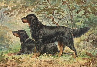 Alexander Pope Jr - Two Gordon Setters facing left one standing one reclining.webp
