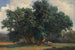 Maisemamaalaus tammi-puilla - Alexandre Calame — näkymä teoksesta