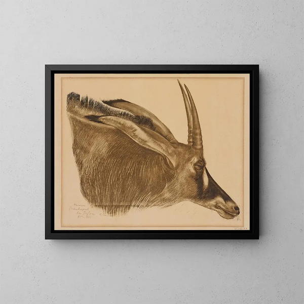 Antilope hippotrague - Alexandre Iacovleff — kehystetty taideteos seinällä