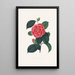 Kuvaukset ja kuvaukset kasveista, jotka muodostavat Camellieae-ordinaatin luonnollisen järjestyksen Pl35 - Alfred Chandler