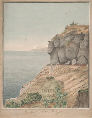 Alfred Diston - View from Port Orotava Tenerife.webp