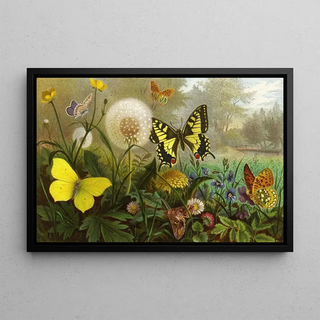 Alfred Edmund Brehm - Die Insekten Tausendfussler und Spinnen Pl 10.webp