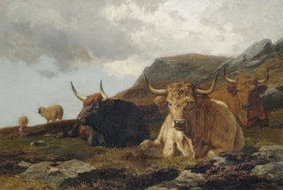 Alfred Grey - Hochlandrinder.webp