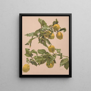 Alice Bailly - Aquarelle dun citronnier.webp