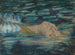 Ophelia - Alice Pike Barney — näkymä teoksesta