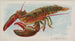 Homard-maalaus - Allen Ginter — näkymä teoksesta