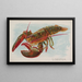 Homard-maalaus - Allen Ginter — kehystetty taideteos seinällä
