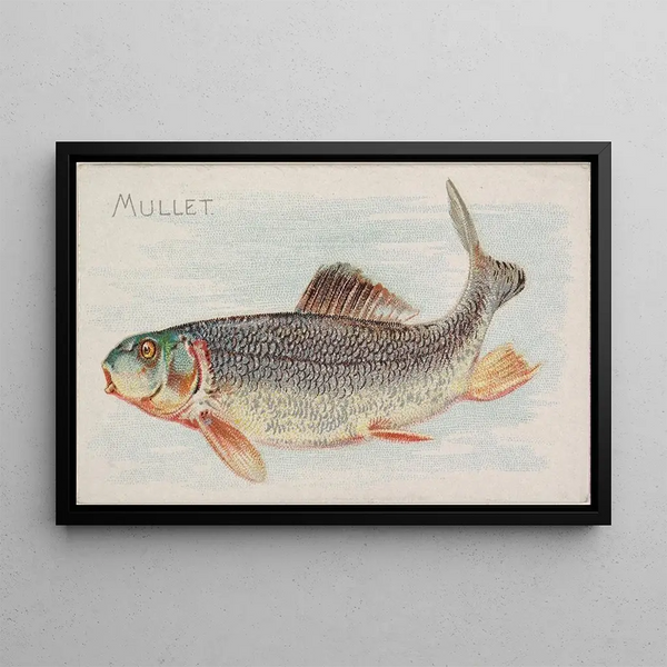 Mulet - Allen Ginter — kehystetty taideteos seinällä