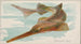 Poisson-scie - Allen Ginter — näkymä teoksesta