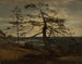 Pin des fjords de Setesdal - Amaldus Nielsen — näkymä teoksesta
