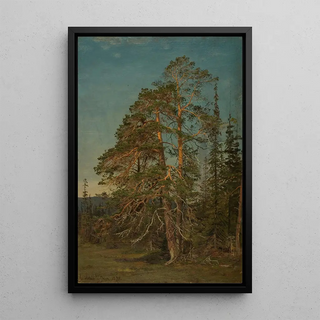 Amaldus Nielsen - Furuer Levanger.webp