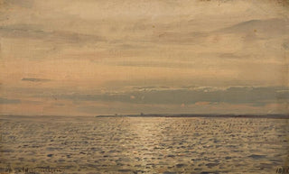Amaldus Nielsen - Solspeil Hvaler.webp