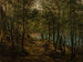 La forêt des loups Mandal - Amaldus Nielsen — näkymä teoksesta
