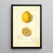 Maalauksen jäljennös Citrus limon Villa France - Amanda Almira Newton