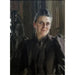 Fanny Thiel syntynyt Stiebel - Anders Zorn — näkymä teoksesta