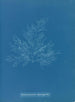 Bonnemaisonia asparagoides - Anna Atkins — näkymä teoksesta