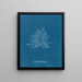 Rose de Callithamnion - Anna Atkins — kehystetty taideteos seinällä
