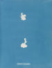 Calothrix cresswelliae - Anna Atkins — näkymä teoksesta
