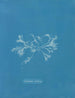 Céramique ciliée - Anna Atkins — näkymä teoksesta