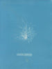 Céramique transparente - Anna Atkins — näkymä teoksesta