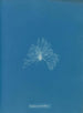 Une céramique étanche - Anna Atkins — näkymä teoksesta