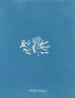 Chondrus brodii - Anna Atkins — näkymä teoksesta