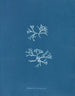 Chondrus norvegicus - Anna Atkins — näkymä teoksesta