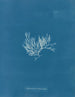 Chylocladia articulé - Anna Atkins — näkymä teoksesta