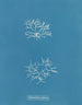 Chylocladia reflexa - Anna Atkins — näkymä teoksesta