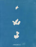 Liity koodiin - Anna Atkins — näkymä teoksesta