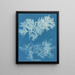Comparer mince - Anna Atkins — kehystetty taideteos seinällä