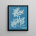 Delesseria sinuosa marge ciliée a du fruit - Anna Atkins — kehystetty taideteos seinällä