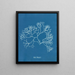Fucus Machaii - Anna Atkins — kehystetty taideteos seinällä
