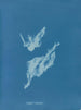 Lyngbya majuscula - Anna Atkins — näkymä teoksesta